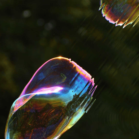 Untitled design (5)